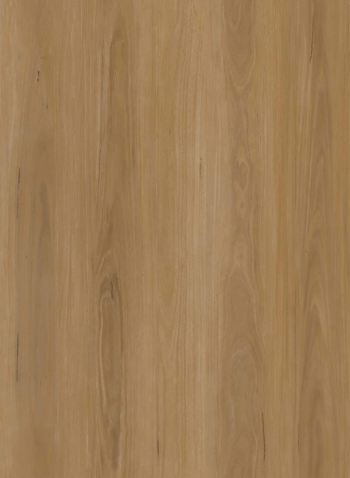 JL8005BT Product